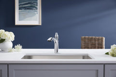 KOHLER Kohler 30468-CP Rival Single Handle Pull Out Kitchen Faucet in Polished Chrome