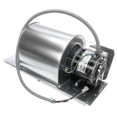 INTERNATIONAL ENVIROMENTAL F400-00088769