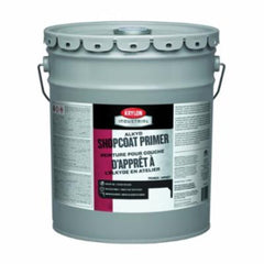 KRYLON K000S4501-20 PAINT SUPPLIES