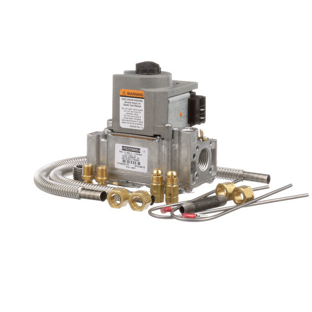 REZNOR 541107 GAS VALVES