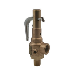 APOLLO VALVES Conbraco 19KGFA200 Steam Relief Valve