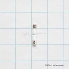 GENERAL ELECTRIC WB27X10928 FUSES