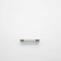 GENERAL ELECTRIC WE1X21975 FUSES