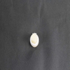 ELECTROLUX 297006800 BEARINGS
