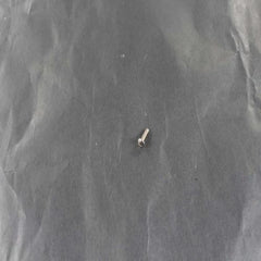 BERTAZZONI Z290105 SCREWS, NUTS, & WASHERS