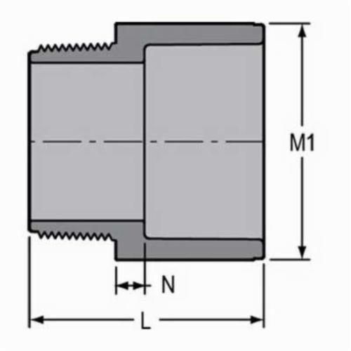 217341410.jpg
