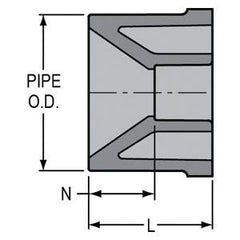 217341466.jpg
