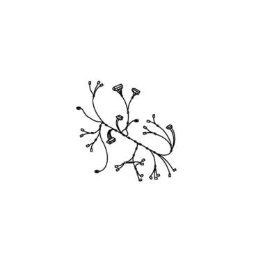 WHIRLPOOL W11627560 WIRE CONNECTIONS