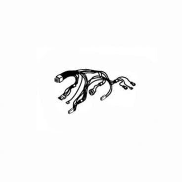 WHIRLPOOL W11616409 MOTOR WIRING HARNESSES