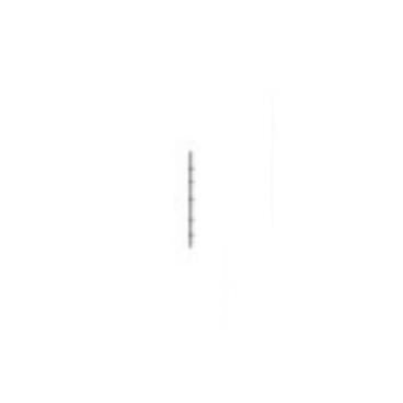WHIRLPOOL W11679636 THERMISTORS