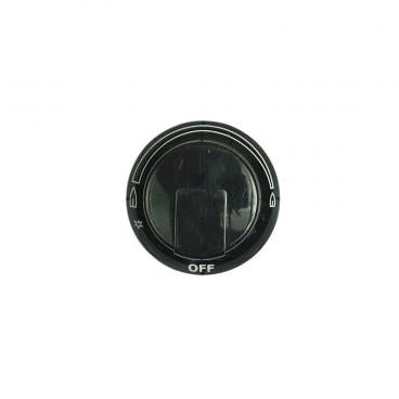 ELECTROLUX 318569905 GAS VALVES