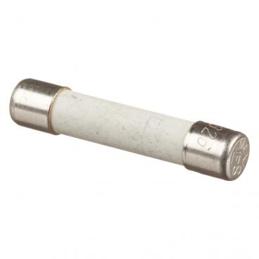ELECTROLUX 5304518868 FUSES