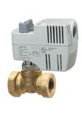 SIEMENS 244-00214 CONTROL VALVES