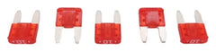 PENTAIR 522745 FUSES