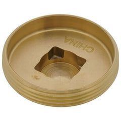 SIOUX CHIEF Sioux Chief 876-RS20 Raised Square Head Cleanout Plug (2 in)