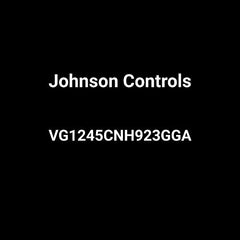 JOHNSON CONTROLS VG1245CNH923GGA BALL VALVES