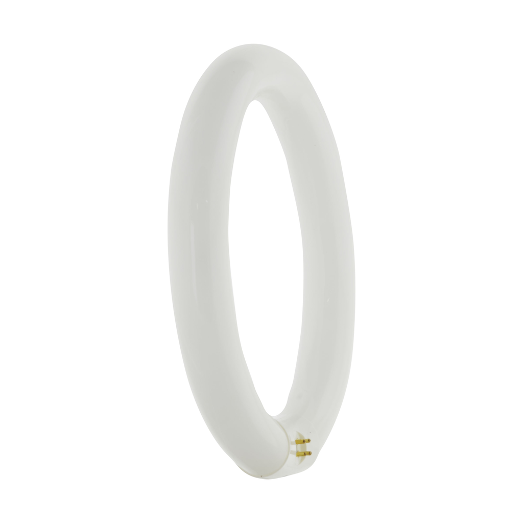 SATCO-NUVO Satco S6507 Circline Fluorescent 30 Watt