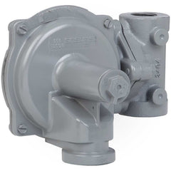 SENSUS Sensus 4961 Gas Regulator with 5/16 Orifice & Green Spring