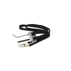 AO SMITH AO Smith 100109355 Ignitor Assembly NG