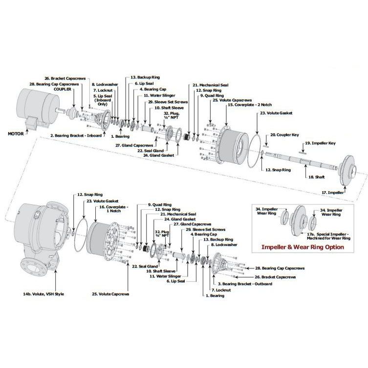 BELL & GOSSETT P75574 GAS VALVE ASSEMBLIES