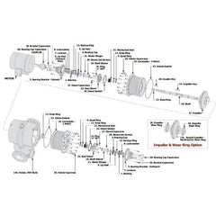 BELL & GOSSETT P75574 GAS VALVE ASSEMBLIES