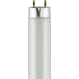 SYLVANIA Sylvania 21720 SYL21720 Octron 800 XP 32 W Medium Bi-Pin Fluorescent Lamp