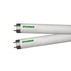 220924731.jpg