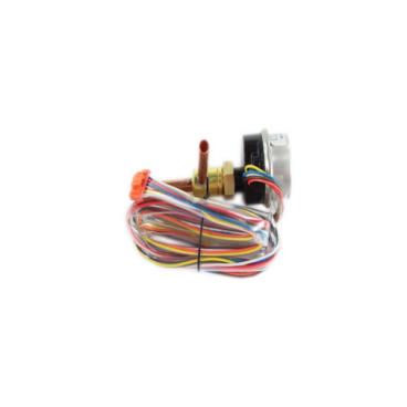 BERTAZZONI AJU73472403 VALVE REPAIR & REBUILD KITS