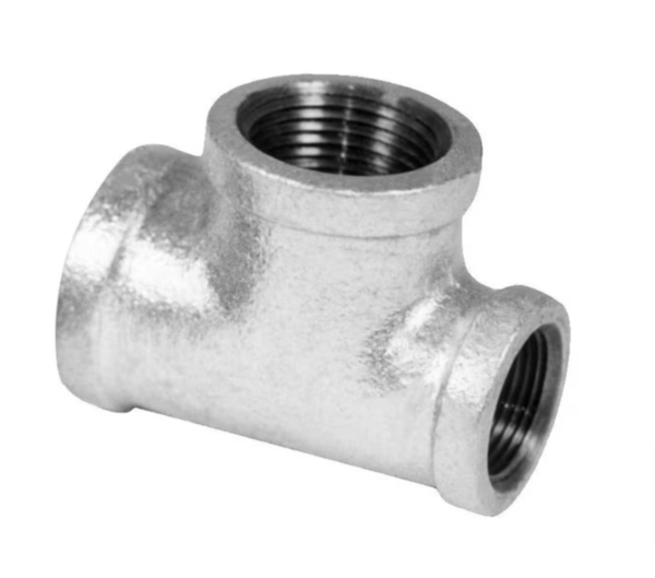 WINSTON BASICS ZMGTR060305