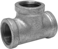 WINSTON BASICS MGTR060403