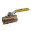 APOLLO VALVES 7014604 GAS VALVES