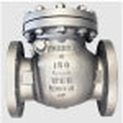 WARREN VALVE 6V3155C-8R0G CHECK VALVES