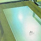 221831985.jpg
