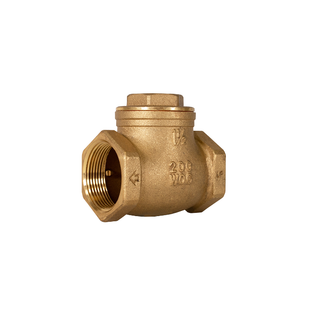 EVERFLOW 210T002 CHECK VALVES