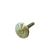 DELANY PRODUCTS P186 GAS VALVES