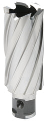 HOUGEN 12416 GAS VALVES