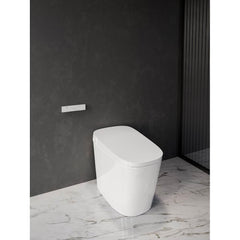 CROSSWATER BATHROOMS US-RS300W BATH GRAB BARS