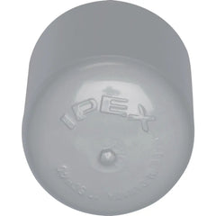 223224560.webp