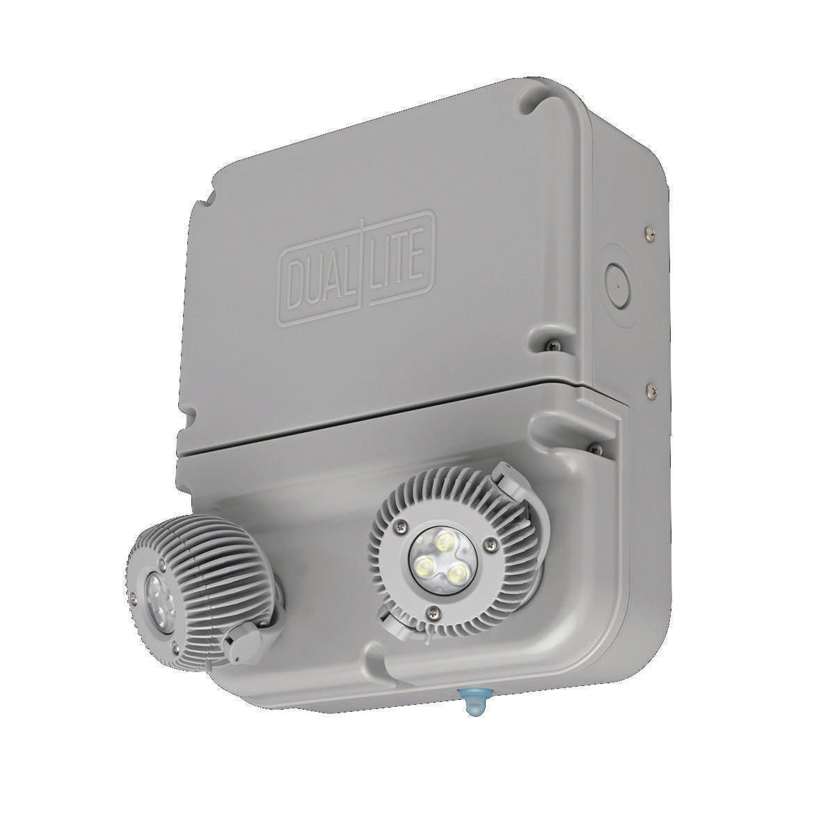 223227106.jpg