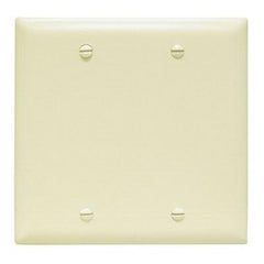LEGRAND Pass & Seymour TP23I Wallplate, Blank, 2-Gang, Box Mount, Nylon - Ivory