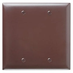 LEGRAND Pass & Seymour TP23 Wallplate Blank 2 Gang Box Mount