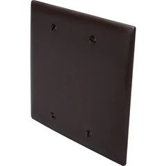LEGRAND Pass & Seymour TP23 Wallplate Blank 2 Gang Box Mount