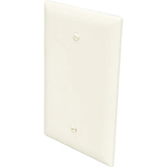 LEGRAND Pass & Seymour TP13I 1-Gang Blank Wall Plate, Box Mounted, Nylon