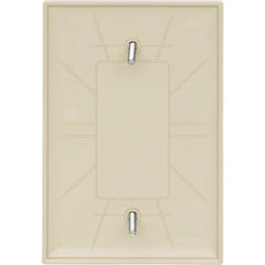 LEGRAND Pass & Seymour TP13I 1-Gang Blank Wall Plate, Box Mounted, Nylon