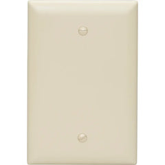 LEGRAND Pass & Seymour TP13I 1-Gang Blank Wall Plate, Box Mounted, Nylon
