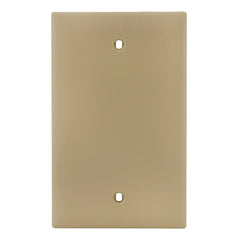 LEGRAND Pass & Seymour TP13I 1-Gang Blank Wall Plate, Box Mounted, Nylon