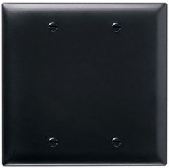 LEGRAND Pass & Seymour TP23BK Wallplate, Blank, 2-Gang