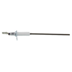 AO SMITH AO Smith 100109908 Flame Sensor Kit