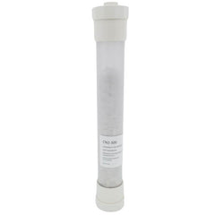 AO SMITH 100289339 GAS VALVES