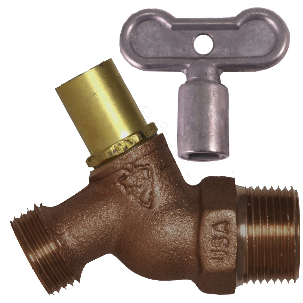223236166.jpg